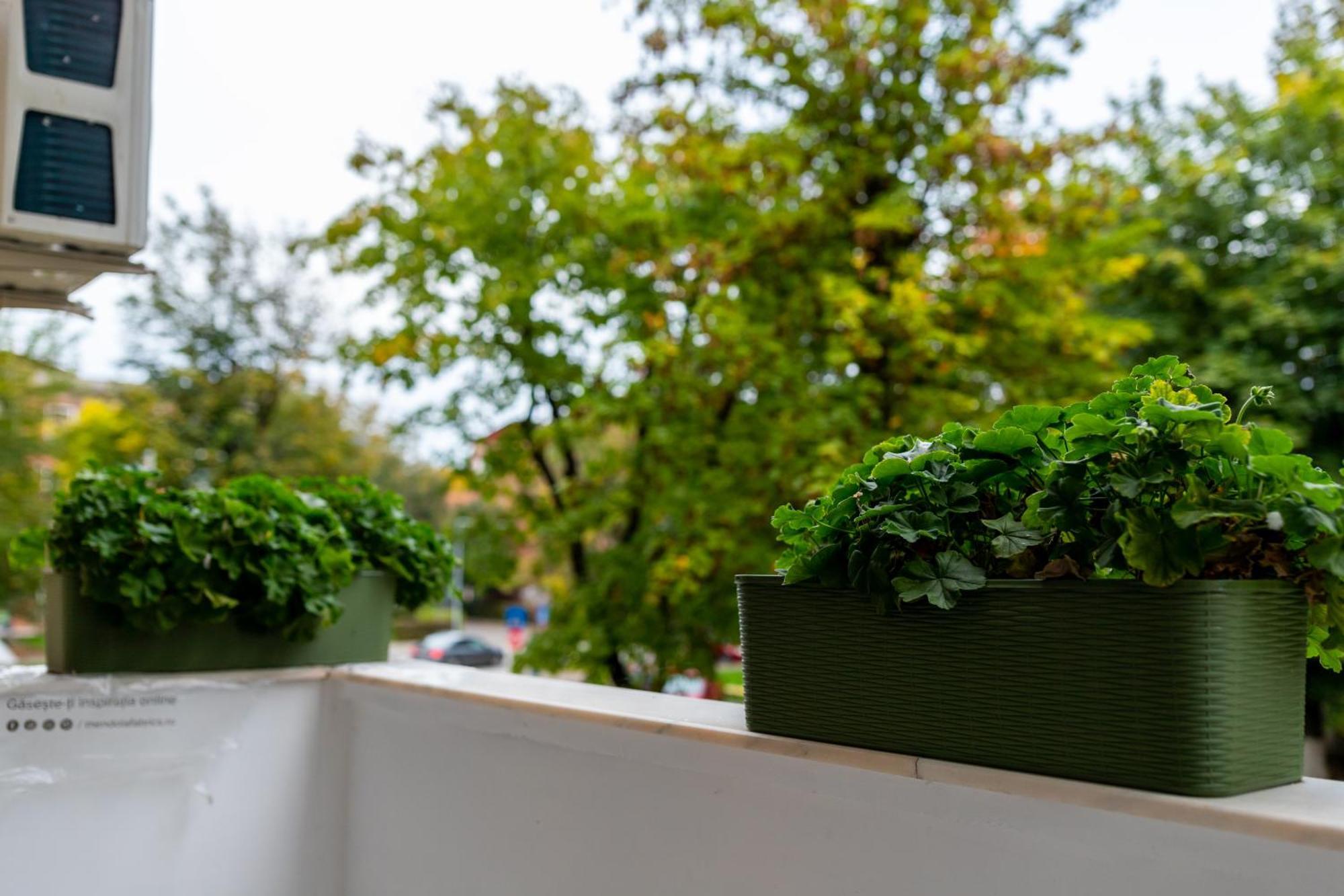 Apartament Octavia Vajdahunyad Kültér fotó