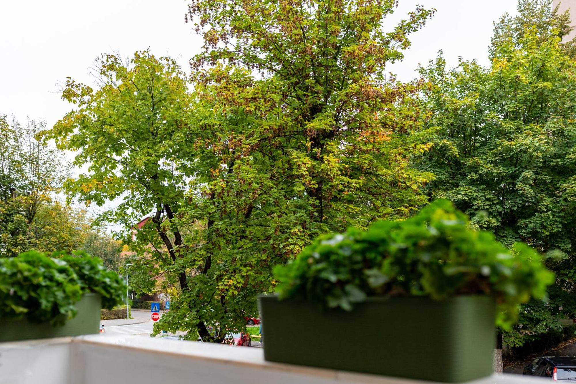 Apartament Octavia Vajdahunyad Kültér fotó