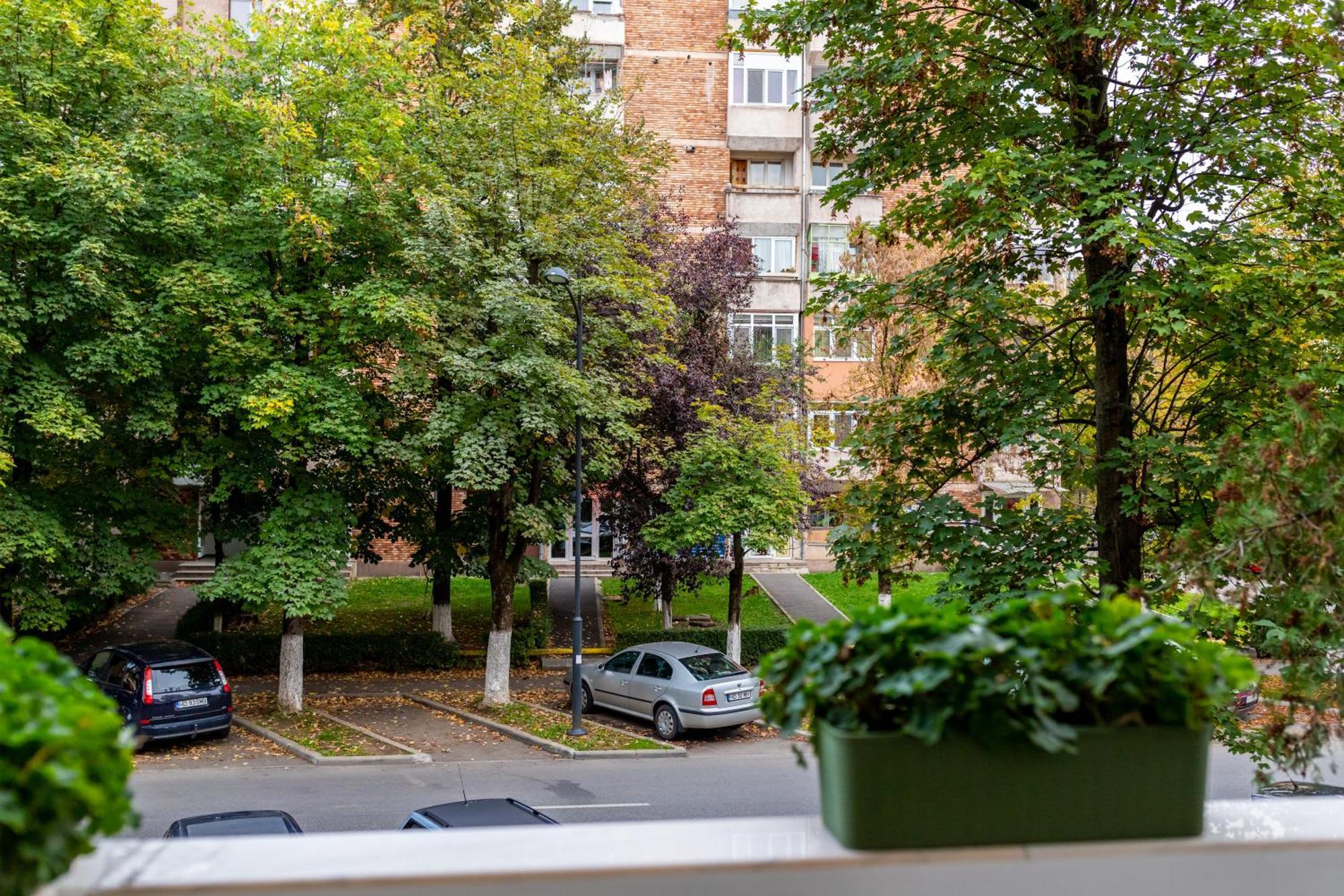 Apartament Octavia Vajdahunyad Kültér fotó